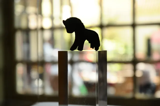 Museum stuk Hanzepaardje - foto door Laura